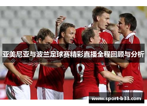 亚美尼亚与波兰足球赛精彩直播全程回顾与分析