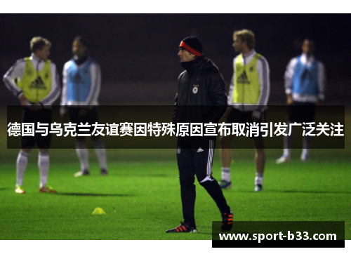 德国与乌克兰友谊赛因特殊原因宣布取消引发广泛关注